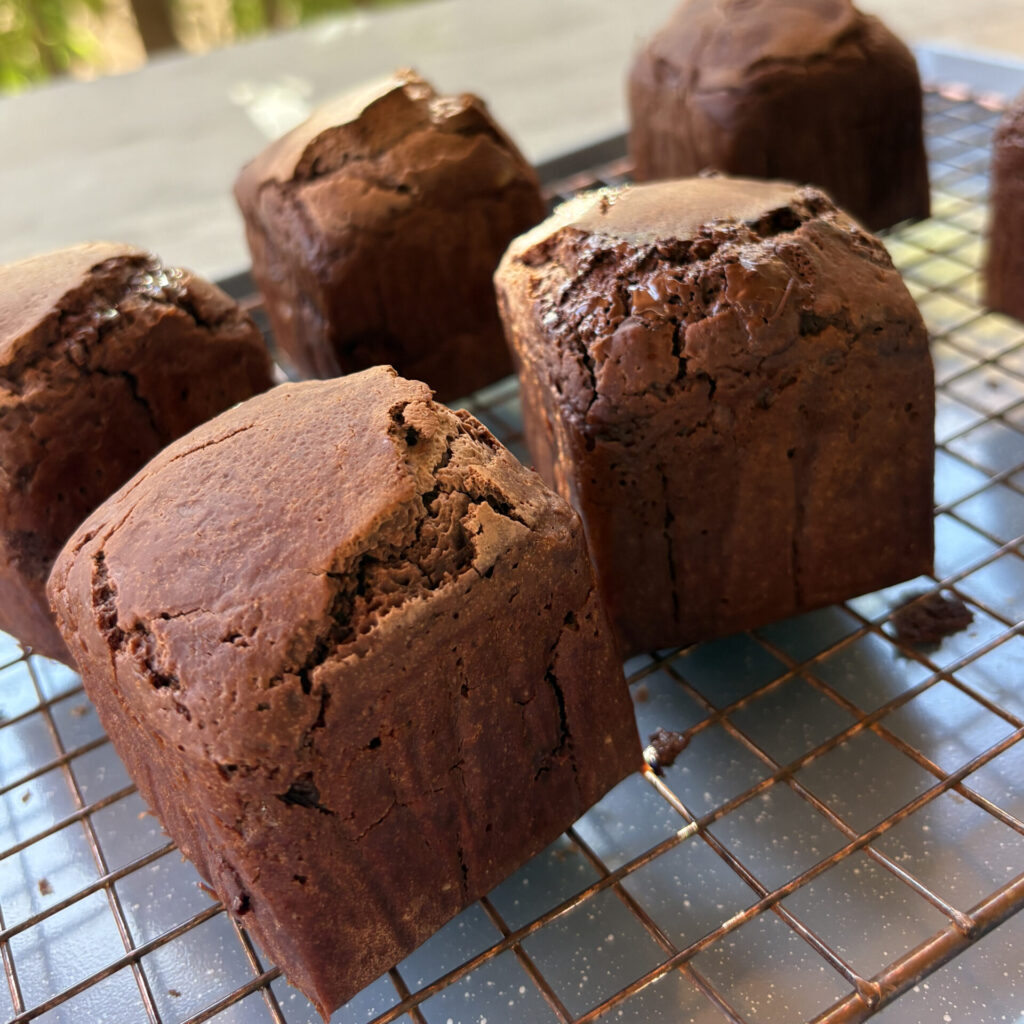 Chocolate raw rice breads on a mesh tray
